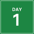 day-1-green