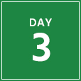 day-3-green