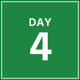 day-4-green