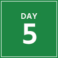 day-5-green