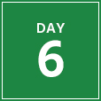 day-6-green