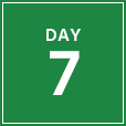 day-7-green