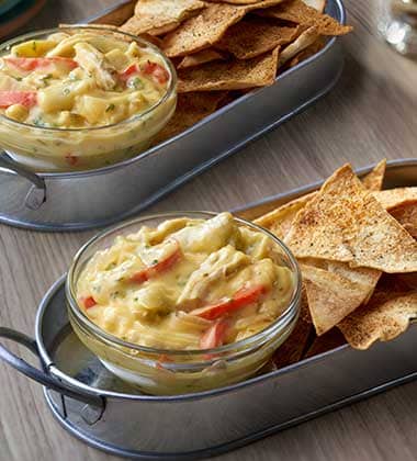 MEDITERRANEAN CHICKEN & ONION DIPPING SAUCE